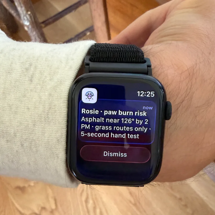 A Pawcast paw-burn-risk alert on an Apple Watch